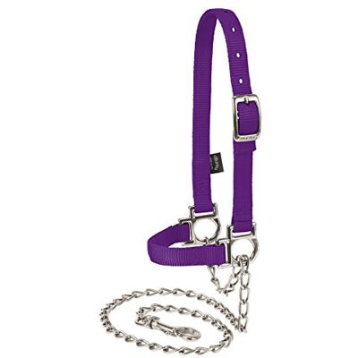 Weaver Livestock Weaver Leather Vee Nylon Verstelbare Schapen Halter met Ketting Lead Purple Jazz, Gemiddeld Weaver Livestock Weaver Leather Vee Nylon Verstelbare Schapen Halter met Ketting Lead Purple Jazz, Gemiddeld