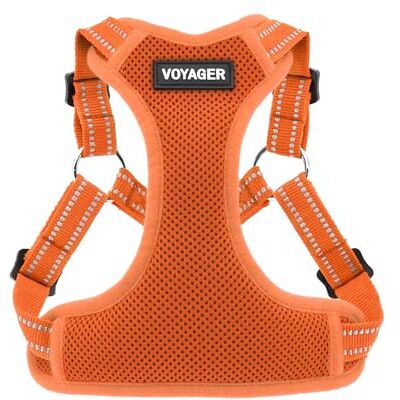 Best Pet Supplies Voyager by Volledig verstelbaar instap mesh harnas met reflecterende 3M biezen oranje (bijpassende trim), X-Small 33 40 cm op borst, volledig verstelbaar, reflecterende banden, ademend luchtgaas, licht, sneldrogend Best Pet Supplies Voyager by Volledig verstelbaar instap mesh harnas met reflecterende 3M biezen oranje (bijpassende trim), X-Small 33 40 cm op borst, volledig verstelbaar, reflecterende banden, ademend luchtgaas, licht, sneldrogend