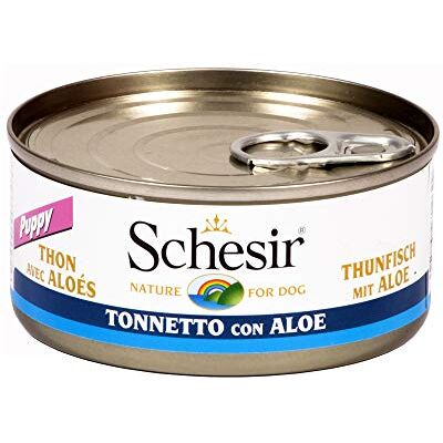 Schesir Puppy Kip met Aloe - Natvoer in Gelatine Schesir Puppy Kip met Aloe - Natvoer in Gelatine