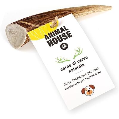Animal House Deer Antlers 100% naturlig hund tugga leksak ben, val av storlek (FULL, XS) Animal House Deer Antlers 100% naturlig hund tugga leksak ben, val av storlek (FULL, XS)