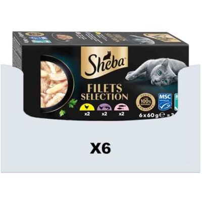 Sheba Voedingsnetten voor volwassen katten, met kip, oceaanvis en garnalen, zalm en tonijn in saus, 36 schalen (6 x 6 x 60 g) Sheba Voedingsnetten voor volwassen katten, met kip, oceaanvis en garnalen, zalm en tonijn in saus, 36 schalen (6 x 6 x 60 g)