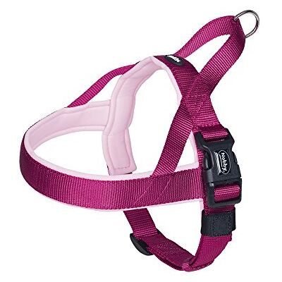 Nobby Preno Hondenharnas - Roze/Fuchsiakleurig, L: 60-76 cm + 46 cm, B: 25/35 mm - Hondenharnas Nobby Preno Hondenharnas - Roze/Fuchsiakleurig, L: 60-76 cm + 46 cm, B: 25/35 mm - Hondenharnas