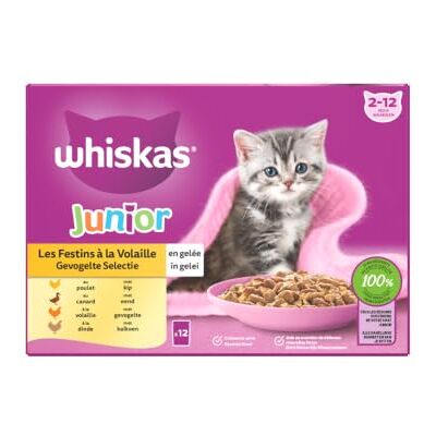 Whiskas JUNIOR Maaltijden voor kittens, 48 junior gelei kattenzakjes, 4 soorten, (4 verpakkingen van 12 x 85 g), volledig en uitgebalanceerd nat voer kitten Whiskas JUNIOR Maaltijden voor kittens, 48 junior gelei kattenzakjes, 4 soorten, (4 verpakkingen van 12 x 85 g), volledig en uitgebalanceerd nat voer kitten