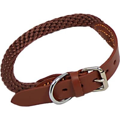 JACK AND VANILLA , Comfortabele en duurzame hondenhalsband, robuuste veiligheidsgesp, elegant design, verstelbaar voor perfecte grip, afmetingen 15 mm x 65 cm, kleur bruin, walkabout-model JACK AND VANILLA , Comfortabele en duurzame hondenhalsband, robuuste veiligheidsgesp, elegant design, verstelbaar voor perfecte grip, afmetingen 15 mm x 65 cm, kleur bruin, walkabout-model