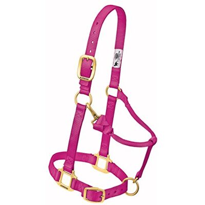 Weaver Leather - 35-7035-RA - Framboos - 1 inch - Halter Weaver Leather - 35-7035-RA - Framboos - 1 inch - Halter
