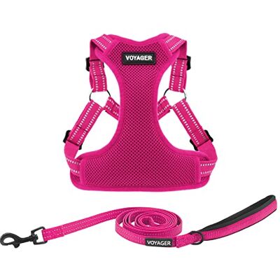 Best Pet Supplies Voyager Verstelbaar hondenharnas en riemset met reflecterende strepen om te wandelen, zwaar belastbaar, volledig lichaam, anti-trek vest met riem D-ring, ademend kleding voor alle Best Pet Supplies Voyager Verstelbaar hondenharnas en riemset met reflecterende strepen om te wandelen, zwaar belastbaar, volledig lichaam, anti-trek vest met riem D-ring, ademend kleding voor alle