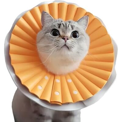 AQPET Zachte Elisabethaanse halsband voor katten, licht en flexibel kunststof, verstelbaar, dubbellaags ontwerp, ideaal voor postoperatief herstel en bescherming van wonden, oranje, S AQPET Zachte Elisabethaanse halsband voor katten, licht en flexibel kunststof, verstelbaar, dubbellaags ontwerp, ideaal voor postoperatief herstel en bescherming van wonden, oranje, S