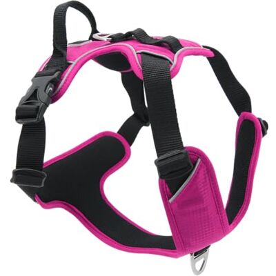 JACK AND VANILLA , Fuchsia harnas voor kleine dieren, optimaal comfort, verhoogde veiligheid, modern design en eenvoudig te bedienen, maat XS, kleur fuchsia, model Expeditie JACK AND VANILLA , Fuchsia harnas voor kleine dieren, optimaal comfort, verhoogde veiligheid, modern design en eenvoudig te bedienen, maat XS, kleur fuchsia, model Expeditie