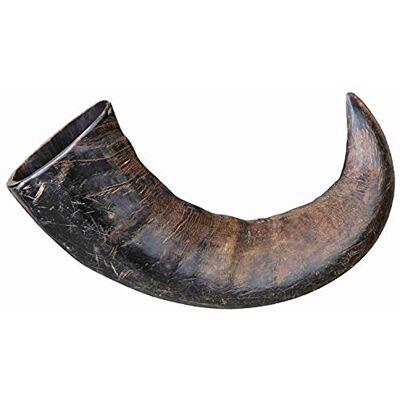 Trixie TX-27743 Buffalo Kauwhoorn Groot Trixie TX-27743 Buffalo Kauwhoorn Groot