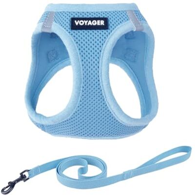 Best Pet Supplies Voyager Step-in Air tuigje, ademend mesh voor alle weersomstandigheden, reflecterend, anti-trek, honden en katten, met klittenbandsluiting, gesp en dubbele D-ringen, koningsblauw, XS Best Pet Supplies Voyager Step-in Air tuigje, ademend mesh voor alle weersomstandigheden, reflecterend, anti-trek, honden en katten, met klittenbandsluiting, gesp en dubbele D-ringen, koningsblauw, XS