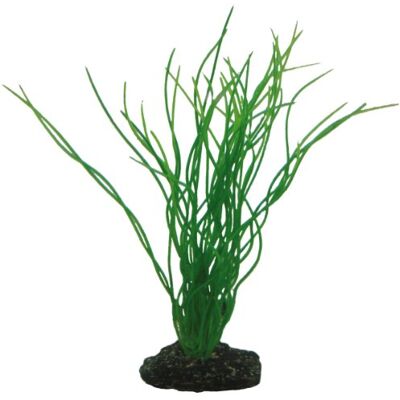 Hobby 41502 Sagittaria, 20 cm Hobby 41502 Sagittaria, 20 cm