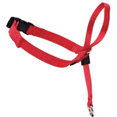 PetSafe Easy Walk hondenhalster L rood, geen trekken, draagcomfort, eenvoudig aan en uit te trekken, voor grote honden PetSafe Easy Walk hondenhalster L rood, geen trekken, draagcomfort, eenvoudig aan en uit te trekken, voor grote honden