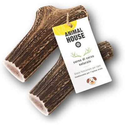 Animal House 2 stuks hertengewei voor hele honden, 100% natuurlijk kauwen, versterkt de mondhygiëne, robuust en duurzaam, verkrijgbaar in alle maten (2, XL) Animal House 2 stuks hertengewei voor hele honden, 100% natuurlijk kauwen, versterkt de mondhygiëne, robuust en duurzaam, verkrijgbaar in alle maten (2, XL)