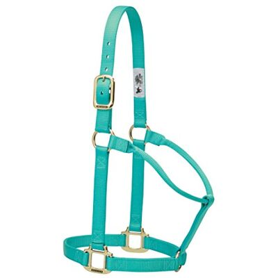 Weaver Leather Mint Nylon Paardenhalster - Paardenhalster Weaver Leather Mint Nylon Paardenhalster - Paardenhalster