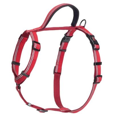 Halti Walking Hondenharnas Maat S, Rood Met zacht neopreen gevoerd handvat, 5 verstelbare riemen en 3M reflectorstof. Geschikt voor kleine honden en puppy's Halti Walking Hondenharnas Maat S, Rood Met zacht neopreen gevoerd handvat, 5 verstelbare riemen en 3M reflectorstof. Geschikt voor kleine honden en puppy's