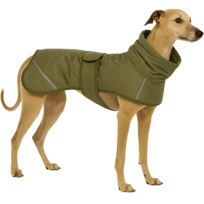 Flamingo Hondjas Cujo - Kleding Flamingo Hondjas Cujo - Kleding