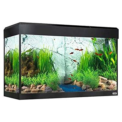 Fluval Roma 125 Bluetooth LED Set - zwart Fluval Roma 125 Bluetooth LED Set - zwart