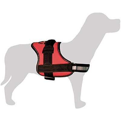 ARQUIVET Hondenharnas - S - Rood en Zwart - Verstelbare Taille ARQUIVET Hondenharnas - S - Rood en Zwart - Verstelbare Taille