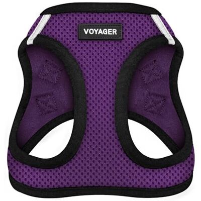 Best Pet Supplies Voyager Step-in Air Hondentuig Instapharnas van mesh voor alle weersomstandigheden voor kleine en middelgrote honden van Harnas (Paars/zwarte trim), XXX-Small Best Pet Supplies Voyager Step-in Air Hondentuig Instapharnas van mesh voor alle weersomstandigheden voor kleine en middelgrote honden van Harnas (Paars/zwarte trim), XXX-Small