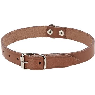 Kerbl Pet Mexica halsband taupe 16 mm, 29-37 cm geklonken Kerbl Pet Mexica halsband taupe 16 mm, 29-37 cm geklonken