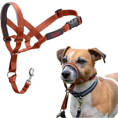 Halti Hondenhalster Maat 1, Verbrande Sinaasappel Om te voorkomen dat uw hond aan de lijn trekt. Verstelbaar en licht, met gevoerde neusband. Hondentraining voor kleine honden Halti Hondenhalster Maat 1, Verbrande Sinaasappel Om te voorkomen dat uw hond aan de lijn trekt. Verstelbaar en licht, met gevoerde neusband. Hondentraining voor kleine honden