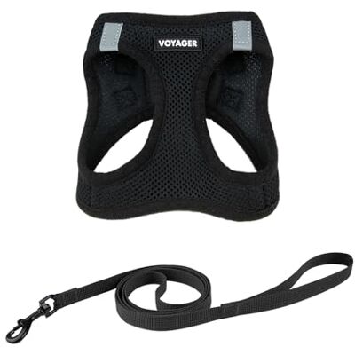 Best Pet Supplies Voyager Step-in Air Cat Leash Harnas Set All Weather Mesh, Instap harnas voor kleine en grote katten van Zwart, XXS (Borst 30,5-34,3 cm) Best Pet Supplies Voyager Step-in Air Cat Leash Harnas Set All Weather Mesh, Instap harnas voor kleine en grote katten van Zwart, XXS (Borst 30,5-34,3 cm)