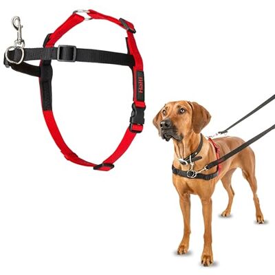 Halti Front Control Hondentuigje Maat L Voorkomt dat je hond aan de lijn trekt, controleer je hond zacht over de borstzone, Geschikt voor grote honden Halti Front Control Hondentuigje Maat L Voorkomt dat je hond aan de lijn trekt, controleer je hond zacht over de borstzone, Geschikt voor grote honden
