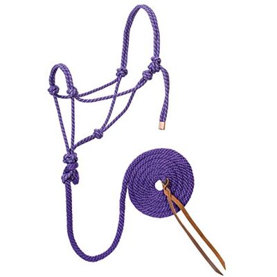 Weaver Equine Weaver Leather Diamond Braid Rope Halter en Lead Paars/Munt/Wit, Gemiddeld Weaver Equine Weaver Leather Diamond Braid Rope Halter en Lead Paars/Munt/Wit, Gemiddeld