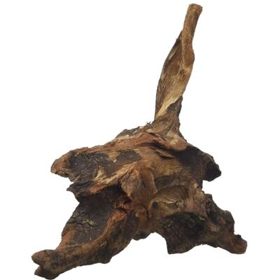 Amtra Mystic Wood, 15-20 cm Amtra Mystic Wood, 15-20 cm