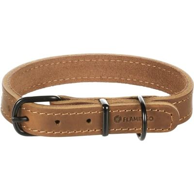 Flamingo Montana Cognac lederen halsband S/M 32-40 cm x 20 mm met klinknagels en gesp heeft een zwarte glanzende afwerking Flamingo Montana Cognac lederen halsband S/M 32-40 cm x 20 mm met klinknagels en gesp heeft een zwarte glanzende afwerking
