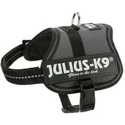 JULIUS K-9 K9 Powertuig, Maat: 3XS/Baby 1, Antraciet JULIUS K-9 K9 Powertuig, Maat: 3XS/Baby 1, Antraciet