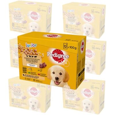 Pedigree DOGCARE Pouch Wet (Mixed) Chunks IN Jelly Junior 100G Multipack Standard 84x100g Pedigree DOGCARE Pouch Wet (Mixed) Chunks IN Jelly Junior 100G Multipack Standard 84x100g