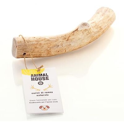 Animal House Rendiergewei voor honden 100% natuurlijk kauwmiddel versterkt de mondhygiëne robuust en duurzaam verkrijgbaar in alle maten (L) Animal House Rendiergewei voor honden 100% natuurlijk kauwmiddel versterkt de mondhygiëne robuust en duurzaam verkrijgbaar in alle maten (L)