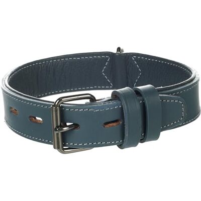 Flamingo Denver halsband, groot, blauw, M, 38-47 cm, 35 mm Flamingo Denver halsband, groot, blauw, M, 38-47 cm, 35 mm