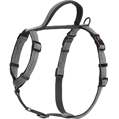 Halti Walking Hondenharnas Maat L, Zwart Met zacht neopreen gevoerd handvat, 5 verstelbare riemen en 3M reflectorstof. Geschikt voor grote honden Halti Walking Hondenharnas Maat L, Zwart Met zacht neopreen gevoerd handvat, 5 verstelbare riemen en 3M reflectorstof. Geschikt voor grote honden