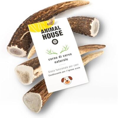 Animal House Hertengewei 5 stuks 100% natuurlijk kauwen Versterking van de mondhygiëne Robuust en duurzaam Verkrijgbaar in alle maten (S) Animal House Hertengewei 5 stuks 100% natuurlijk kauwen Versterking van de mondhygiëne Robuust en duurzaam Verkrijgbaar in alle maten (S)