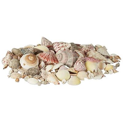 Relaxdays Schelpen Decoratie Set - Strandatmosfeer - 1kg Relaxdays Schelpen Decoratie Set - Strandatmosfeer - 1kg