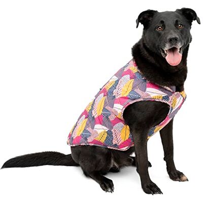 Kurgo Loft Hondenjas, omkeerbare winterjas voor honden, te gebruiken met harnas of sweater, waterbestendig, reflecterend, voor kleine, middelgrote of grote huisdieren (Fall Festival, S) Kurgo Loft Hondenjas, omkeerbare winterjas voor honden, te gebruiken met harnas of sweater, waterbestendig, reflecterend, voor kleine, middelgrote of grote huisdieren (Fall Festival, S)