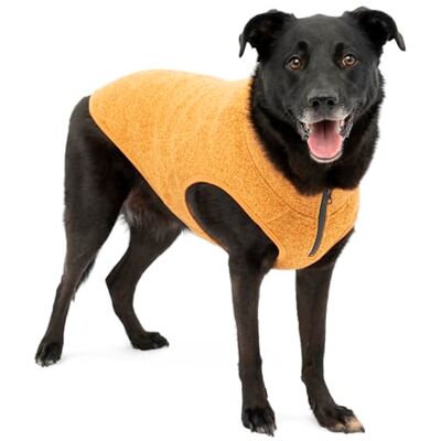Kurgo Core Hondentrui, het hele jaar door trui voor honden, hondenfleece vest, gebreide fleece huisdierjas, fleece voering, lichtgewicht, ritssluiting voor harnas, verstelbare hals, blauw, extra klein Kurgo Core Hondentrui, het hele jaar door trui voor honden, hondenfleece vest, gebreide fleece huisdierjas, fleece voering, lichtgewicht, ritssluiting voor harnas, verstelbare hals, blauw, extra klein