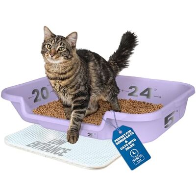 NE14pets KittyGoHere Senioren-kattentoilet, lage instap, comfortabele maat, ideaal voor oudere en artritische katten, lavendel, maat L, 1 stuk NE14pets KittyGoHere Senioren-kattentoilet, lage instap, comfortabele maat, ideaal voor oudere en artritische katten, lavendel, maat L, 1 stuk