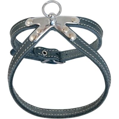 JACK AND VANILLA , Harnas van robuust leer voor dieren, individuele pasvorm, elegant design, versterkte veiligheid, ideaal voor wandelingen, afmetingen 10 mm x 50 cm, kleur: grijs, model leer JACK AND VANILLA , Harnas van robuust leer voor dieren, individuele pasvorm, elegant design, versterkte veiligheid, ideaal voor wandelingen, afmetingen 10 mm x 50 cm, kleur: grijs, model leer