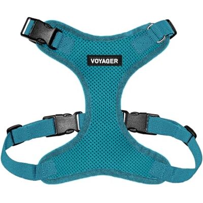 Best Pet Supplies Voyager Step-in Lock Huisdierharnas gaas voor alle weersomstandigheden, verstelbaar instaptuig voor katten en honden, turquoise (bijpassende trim), XL (Borst: 56-91 cm) 58-71 cm op de borst, verstelbaar, ademend luchtgaas, lichtgewicht Best Pet Supplies Voyager Step-in Lock Huisdierharnas gaas voor alle weersomstandigheden, verstelbaar instaptuig voor katten en honden, turquoise (bijpassende trim), XL (Borst: 56-91 cm) 58-71 cm op de borst, verstelbaar, ademend luchtgaas, lichtgewicht