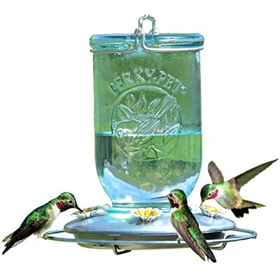 Perky-Pet 785-1SR Mason Jar Vintage glazen kolibrie Feeder Outdoor Garden Decor 32oz Nectar Capaciteit Perky-Pet 785-1SR Mason Jar Vintage glazen kolibrie Feeder Outdoor Garden Decor 32oz Nectar Capaciteit