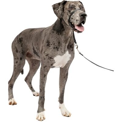PetSafe Gentle Leader Hoofdkraag, X-Large, Zwart PetSafe Gentle Leader Hoofdkraag, X-Large, Zwart