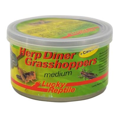 Lucky Reptile Herp Diner Grasshoppers, maat: medium Lucky Reptile Herp Diner Grasshoppers, maat: medium