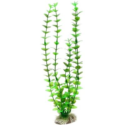 Amtra WAVE Rotala Rotundifolia Plant Classic, X-Large Amtra WAVE Rotala Rotundifolia Plant Classic, X-Large