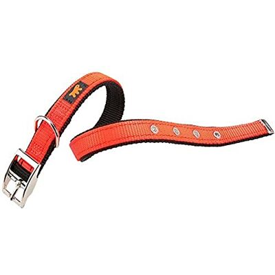 Ferplast 75168939 hondenhalsband Dual CF20/43 kleuren, halsomvang: 35-43 cm, breedte: 2,0 cm, oranje Ferplast 75168939 hondenhalsband Dual CF20/43 kleuren, halsomvang: 35-43 cm, breedte: 2,0 cm, oranje
