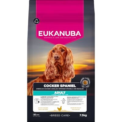Eukanuba Breed Care Cocker Spaniël Droogvoer, 7,5 kg Premium hondenvoer met verse kip optimaal op het ras afgestemd voer voor een gezonde huid en glanzende vacht Eukanuba Breed Care Cocker Spaniël Droogvoer, 7,5 kg Premium hondenvoer met verse kip optimaal op het ras afgestemd voer voor een gezonde huid en glanzende vacht