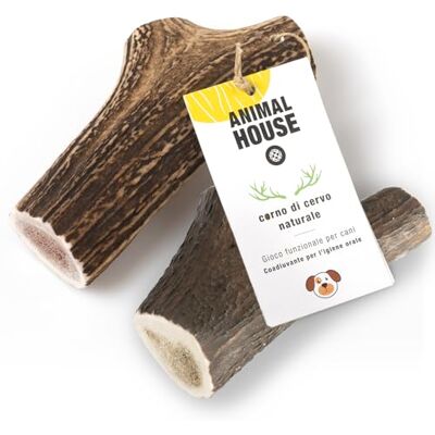 Animal House 2 stuks hertengewei voor hele honden, 100% natuurlijk kauwen, versterkt de mondhygiëne, robuust en duurzaam, verkrijgbaar in alle maten (2, XXL) Animal House 2 stuks hertengewei voor hele honden, 100% natuurlijk kauwen, versterkt de mondhygiëne, robuust en duurzaam, verkrijgbaar in alle maten (2, XXL)