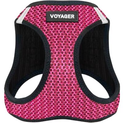 Best Pet Supplies Voyager Step-in Air Hondentuig, mesh voor alle weersomstandigheden, reflecterend, tegen trekken, kleine, middelgrote honden, katten, met klittenband, gesp, dubbele D-ringen, fuchsia, 2-kleurig, S Best Pet Supplies Voyager Step-in Air Hondentuig, mesh voor alle weersomstandigheden, reflecterend, tegen trekken, kleine, middelgrote honden, katten, met klittenband, gesp, dubbele D-ringen, fuchsia, 2-kleurig, S